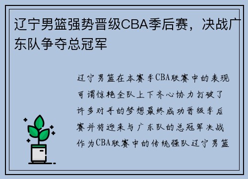 辽宁男篮强势晋级CBA季后赛，决战广东队争夺总冠军