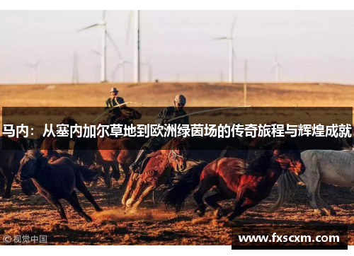 马内：从塞内加尔草地到欧洲绿茵场的传奇旅程与辉煌成就